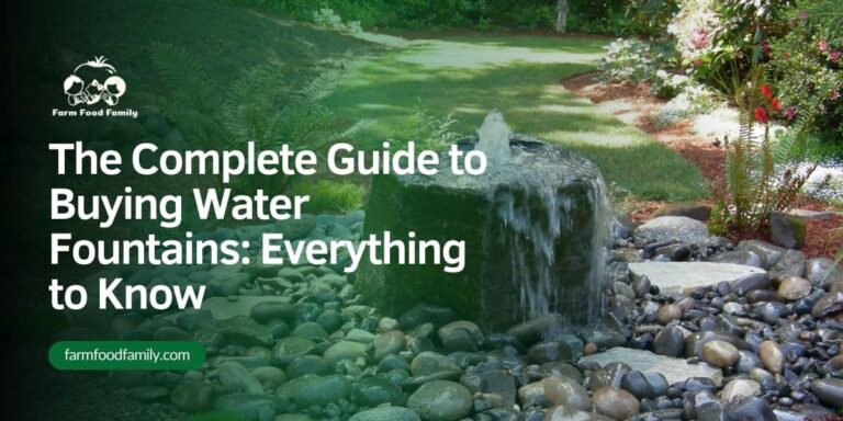 The Complete Guide to Buying Water Fountains: Everything to Know