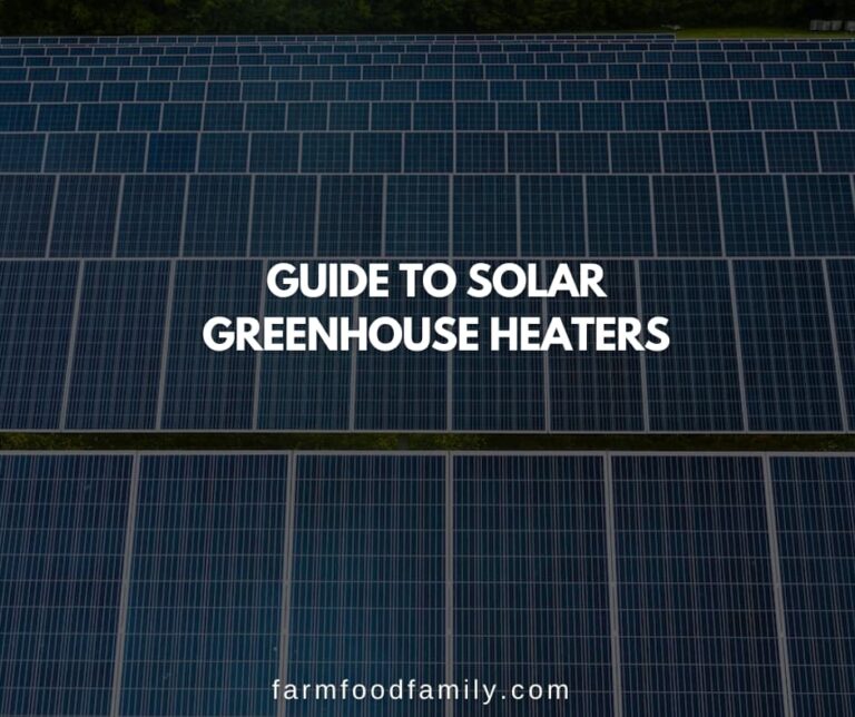 Guide to Solar Greenhouse Heaters