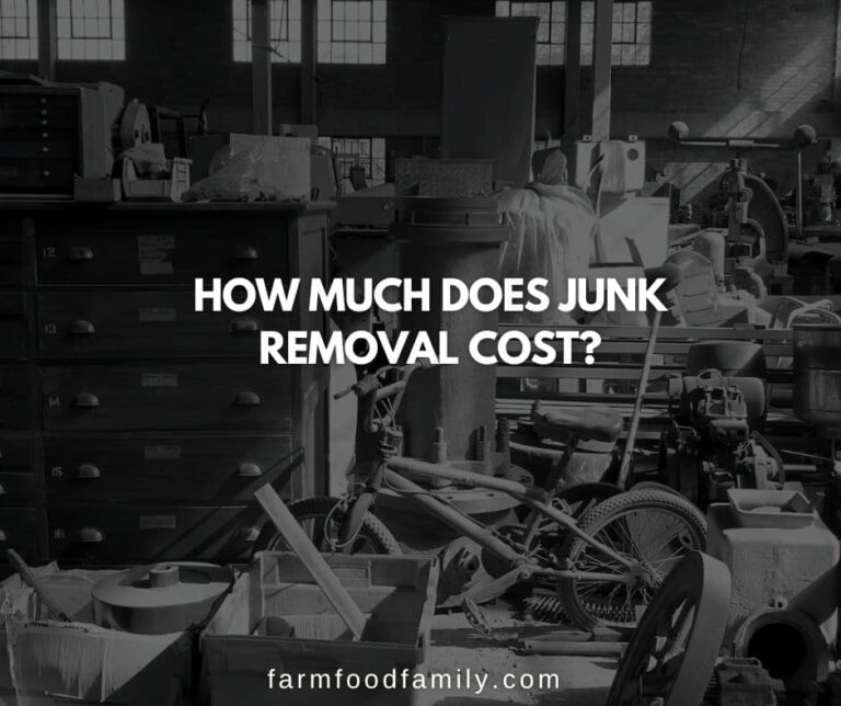 How Much Does Junk Removal Cost?