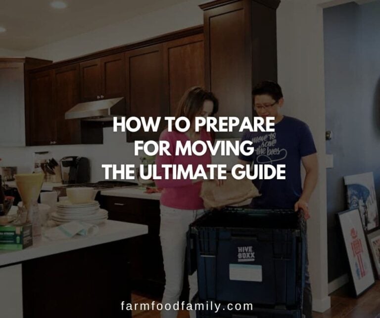 How To Prepare for Moving: The Ultimate Guide