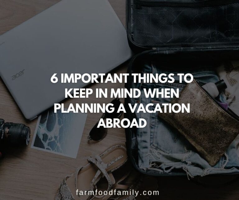 6 Important Things To Keep In Mind When Planning A Vacation Abroad