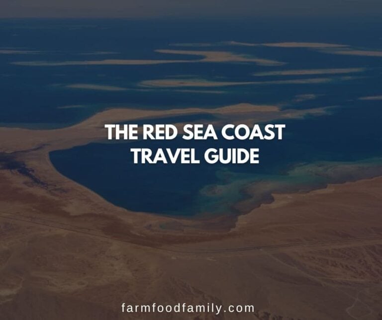 The Red Sea Coast Travel Guide