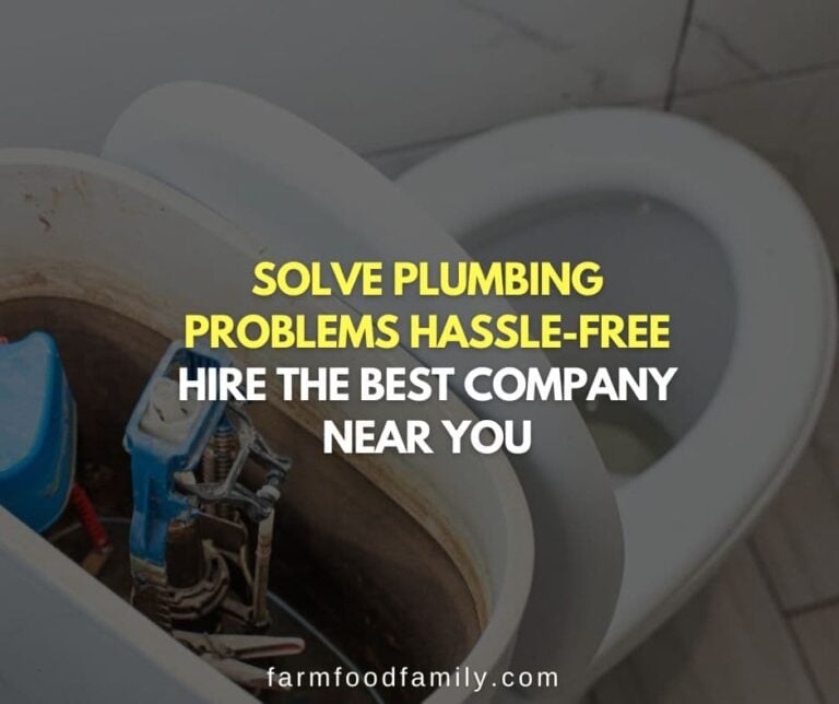 Solve Plumbing Problems Hassle-Free- Hire the Best Company Near You
