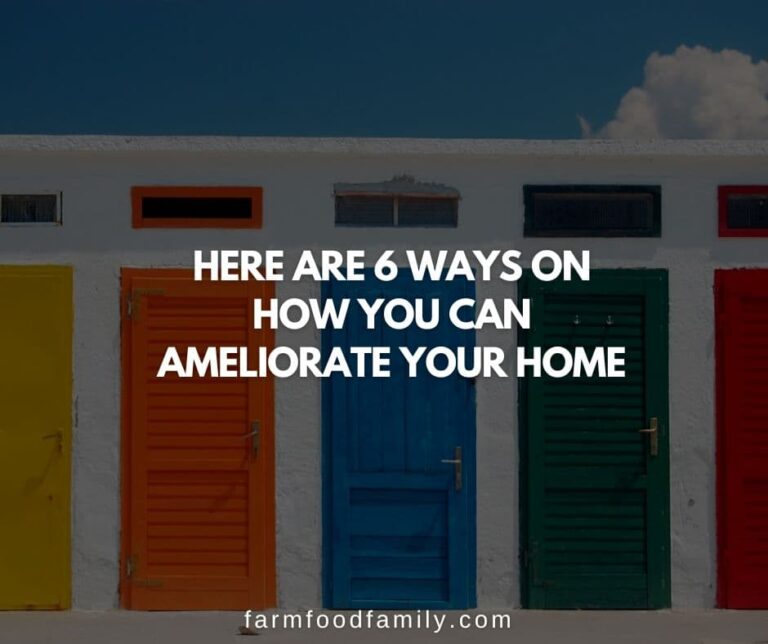 Here Are 6 Ways On How You Can Ameliorate Your Home