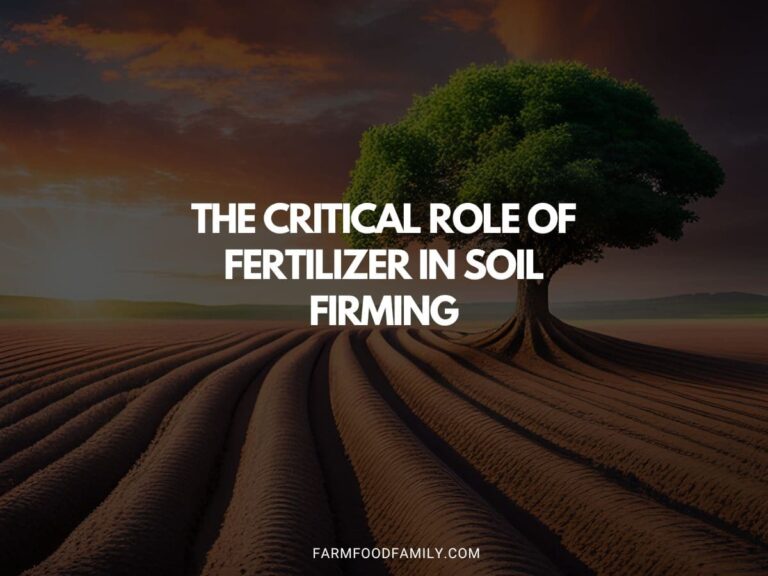 The Critical Role of Fertilizer in Soil Firming: A Comprehensive Guide