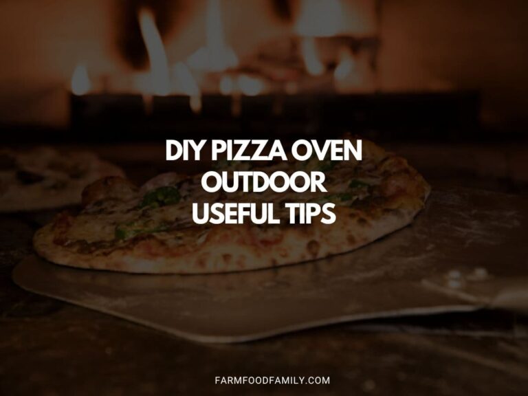 DIY Pizza Oven Outdoor – Useful Tips