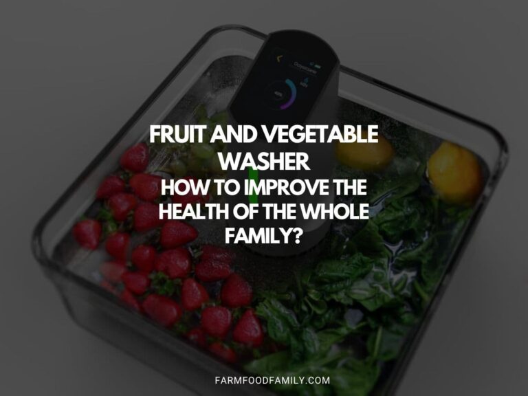 Fruit and Vegetable Washer – How To Improve The Health of the Whole Family?