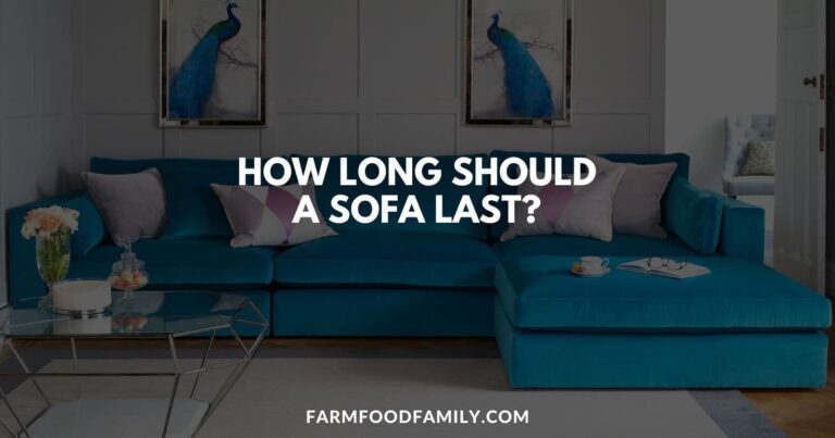 How Long Should a Sofa Last? An In-Depth Guide to Sofa Lifespan