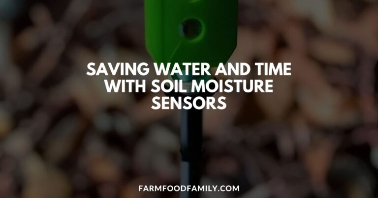 Saving Water and Time with Soil Moisture Sensors: A Comprehensive Guide