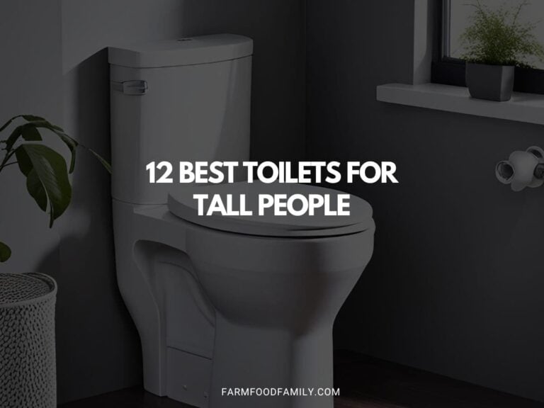 12 Best Toilets for Tall People | Expert Tips