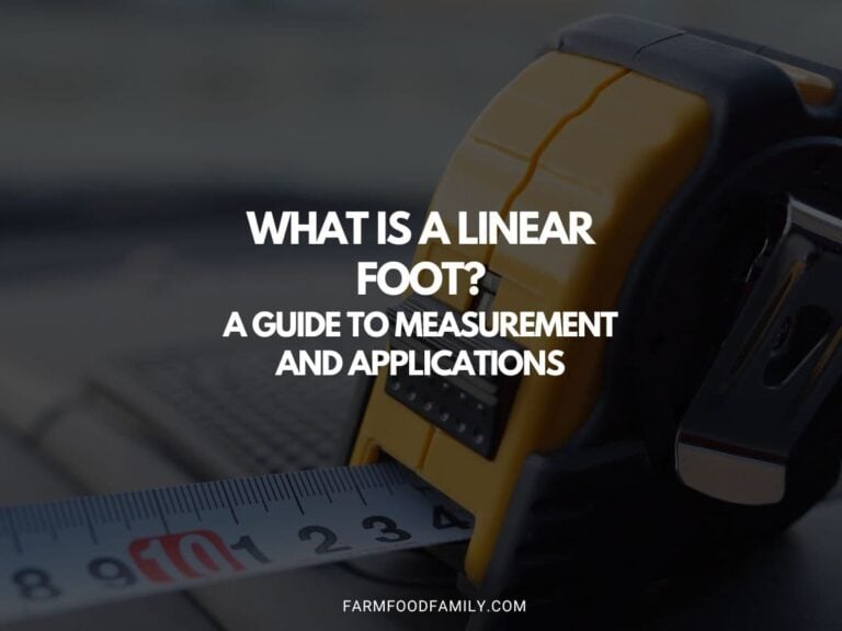 What is a Linear Foot? A Guide to Measurement and Applications