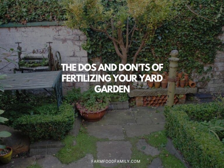 The Dos And Don’ts Of Fertilizing Your Yard Garden