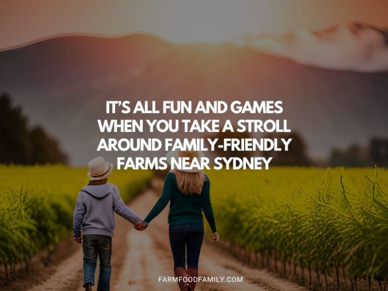 It’s All Fun And Games When You Take A Stroll Around Family-Friendly Farms Near Sydney