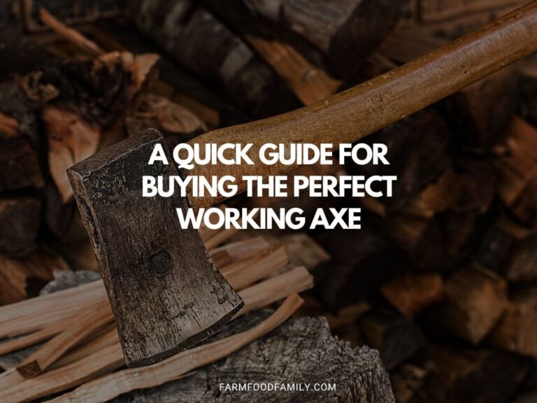A Quick Guide For Buying The Perfect Working Axe