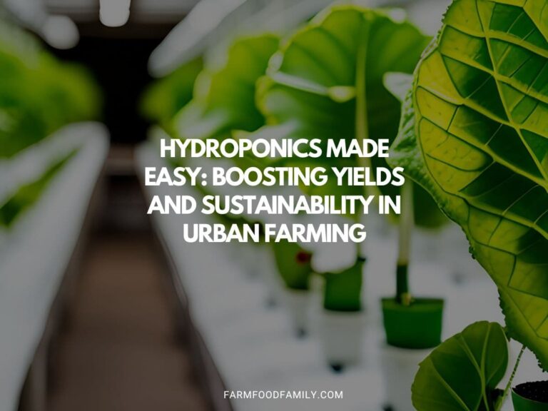 Hydroponics Made Easy: Boosting Yields and Sustainability in Urban Farming