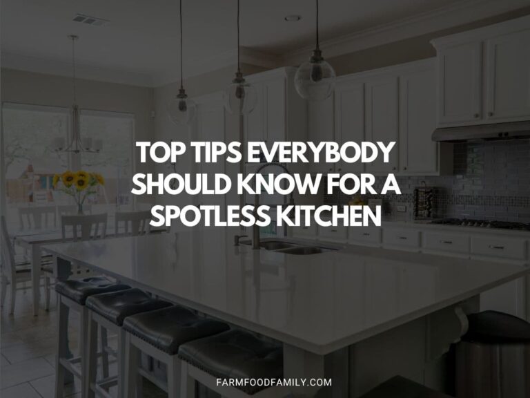 Top Tips Everybody Should Know For A Spotless Kitchen