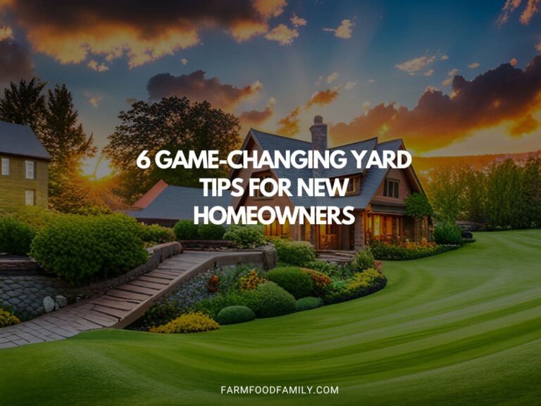 6 Game-Changing Yard Tips for New Homeowners