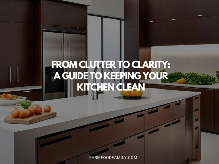 From Clutter to Clarity: A Guide to Keeping Your Kitchen Clean
