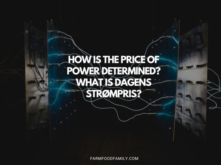 How is the Price of Power Determined? What is Dagens Strømpris?