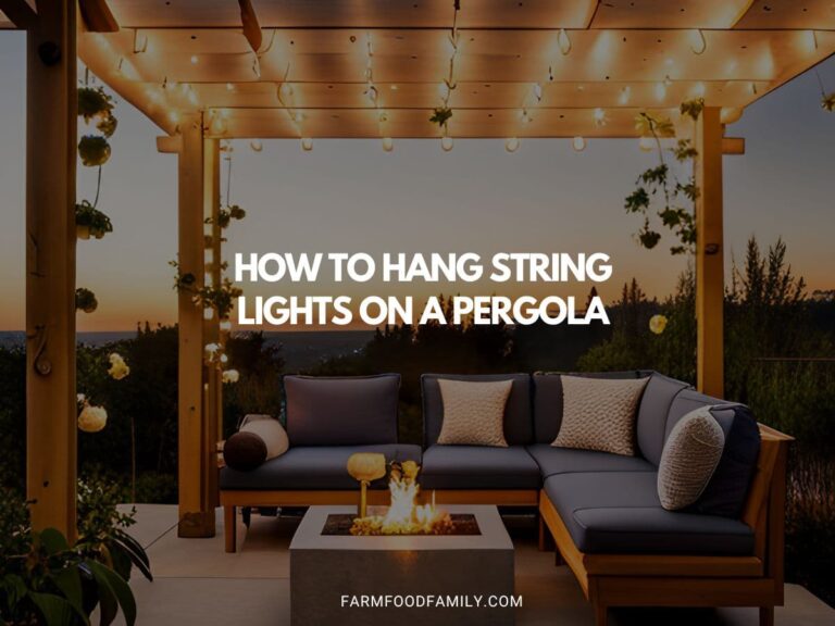 How to Hang String Lights on a Pergola: A Step-by-Step Guide