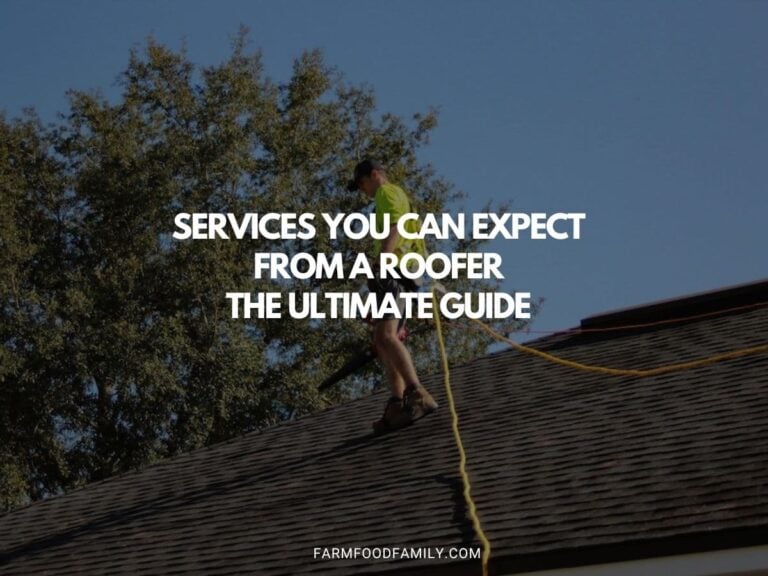 Services You Can Expect from a Roofer: The Ultimate Guide
