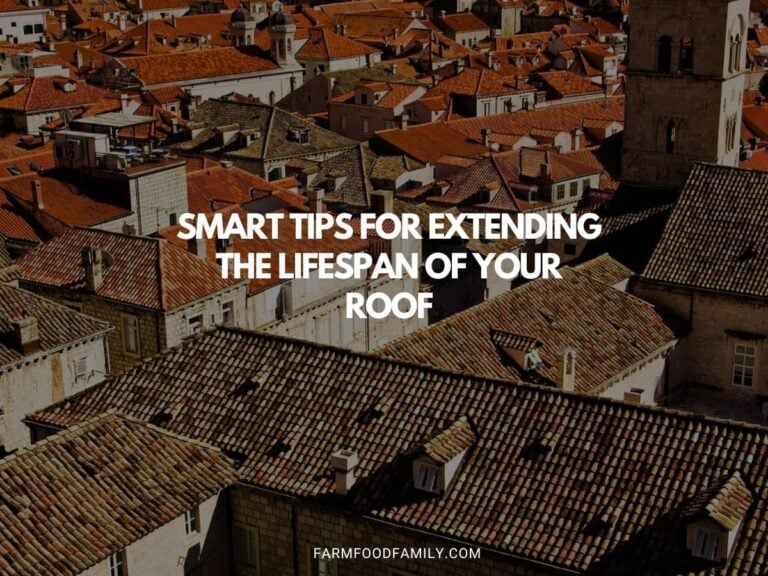 The Art of Roof Maintenance: Smart Tips for Extending the Lifespan of Your Roof