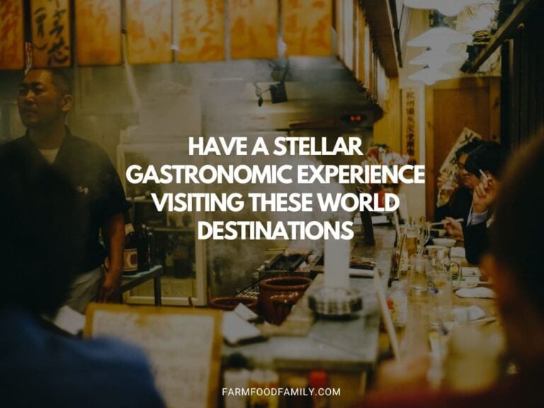 Have A Stellar Gastronomic Experience Visiting These World Destinations