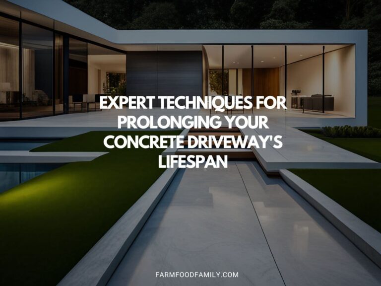 Expert Techniques for Prolonging Your Concrete Driveway’s Lifespan