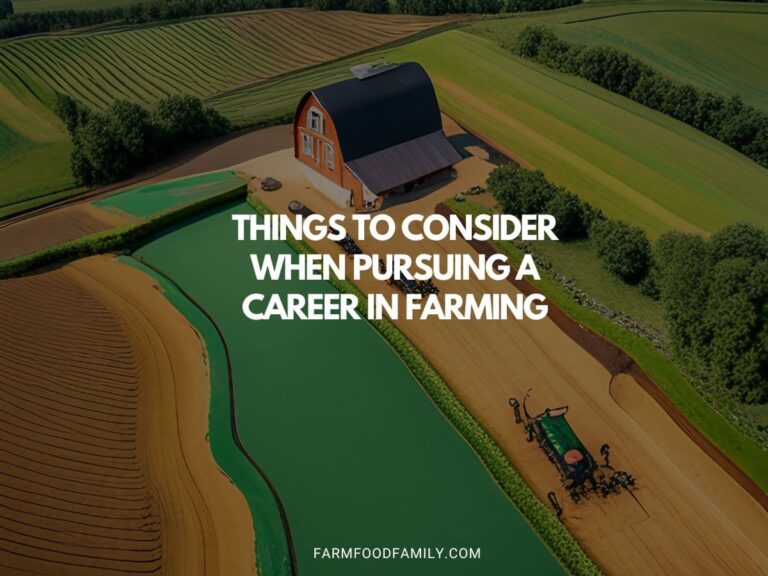 Things To Consider When Pursuing A Career In Farming