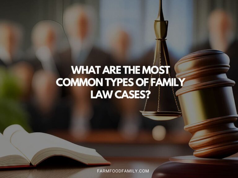 What Are the Most Common Types of Family Law Cases?