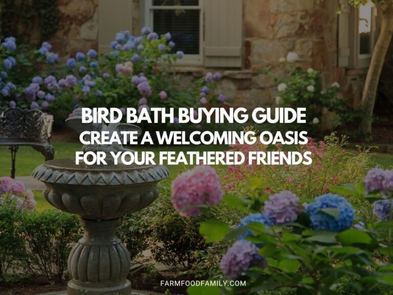 Bird Bath Buying Guide: Create a Welcoming Oasis for Your Feathered Friends