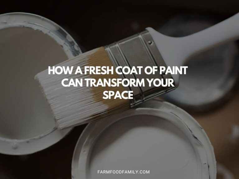 How a Fresh Coat of Paint Can Transform Your Space