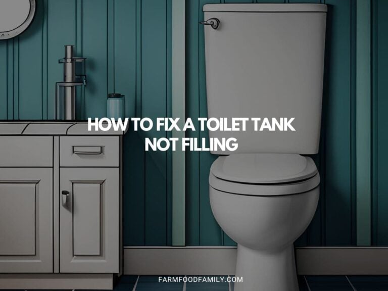 How to Fix a Toilet Tank Not Filling
