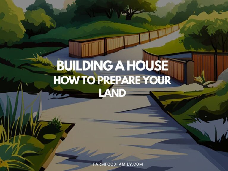 Building a House: How to Prepare Your Land