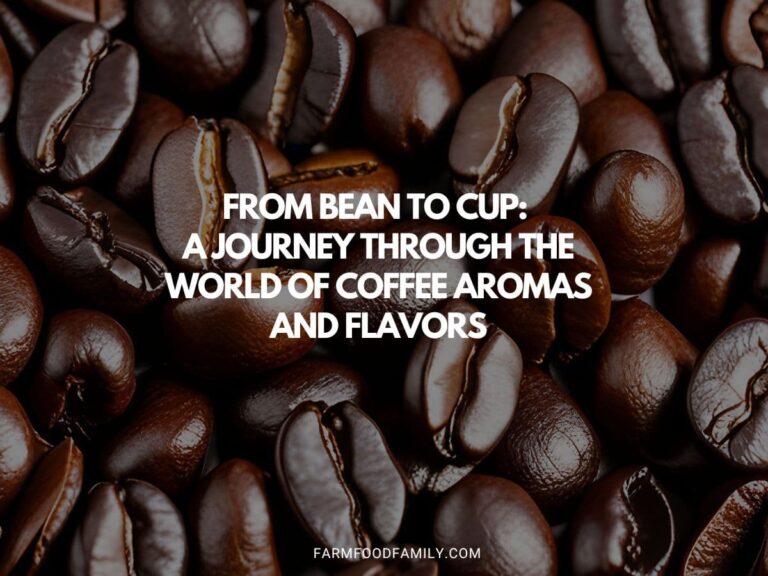 From Bean to Cup: A Journey Through the World of Coffee Aromas and Flavors