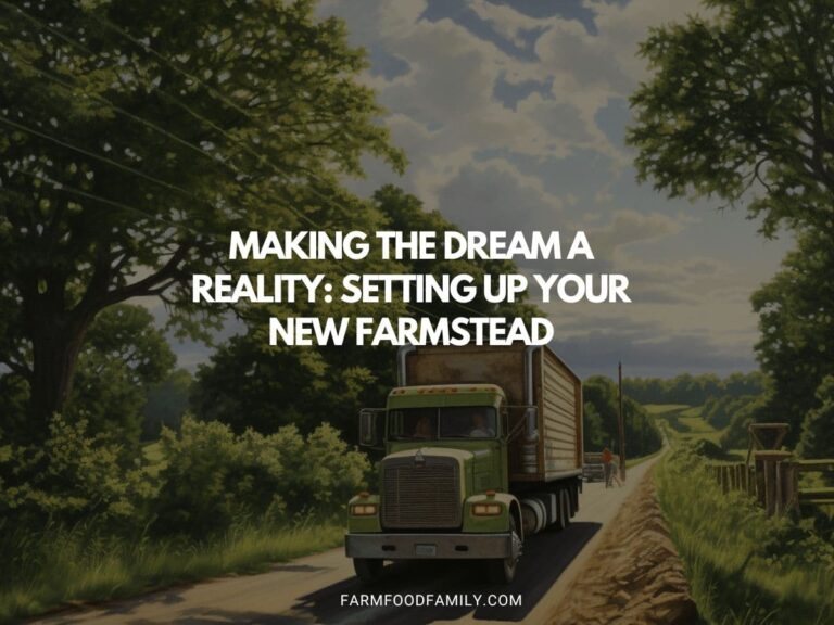 Making the Dream a Reality: Setting Up Your New Farmstead
