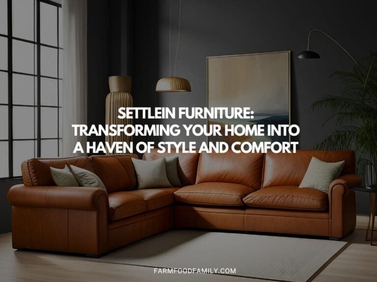 Settlein Furniture: Transforming Your Home into a Haven of Style and Comfort