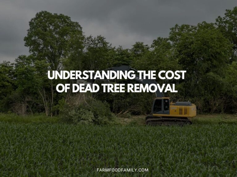 Understanding the Cost of Dead Tree Removal
