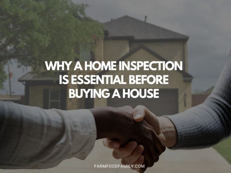 Why a Home Inspection is Essential Before Buying a House