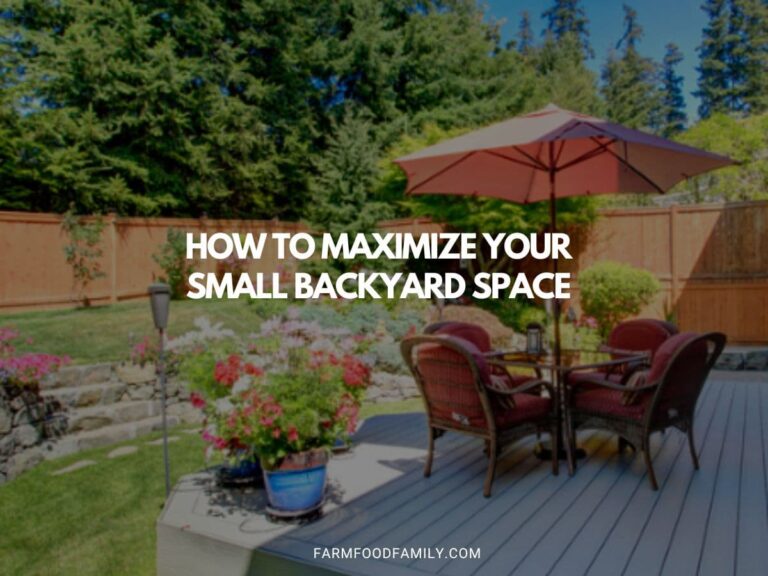 How to Maximize Your Small Backyard Space