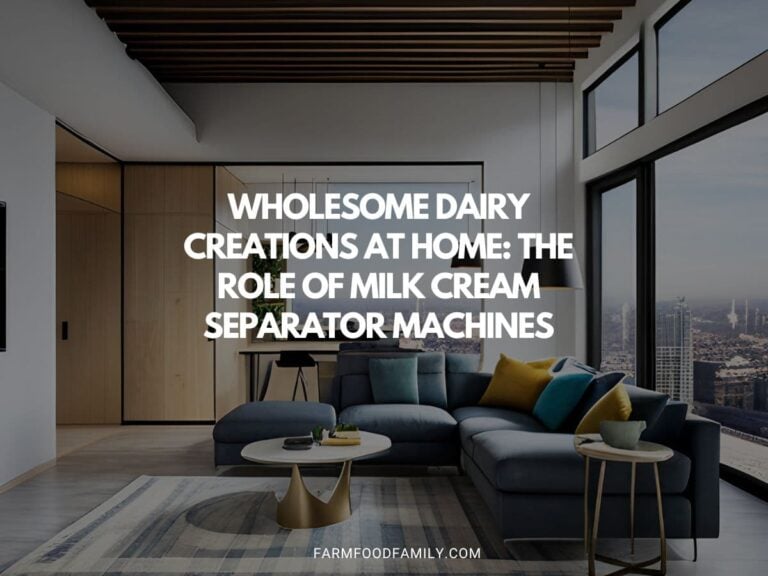 Wholesome Dairy Creations at Home: The Role of Milk Cream Separator Machines