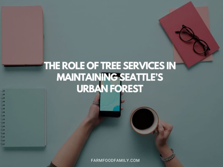 The Role of Tree Services in Maintaining Seattle’s Urban Forest