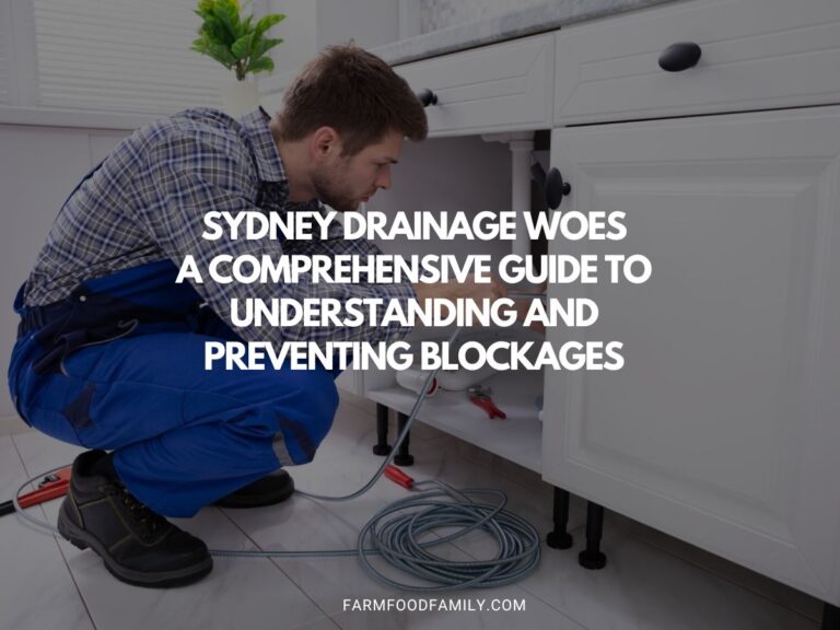 Sydney Drainage Woes: A Comprehensive Guide to Understanding and Preventing Blockages