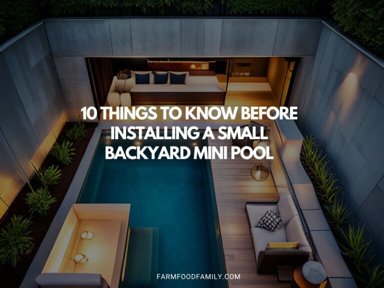 10 Things to Know Before Installing a Small Backyard Mini Pool