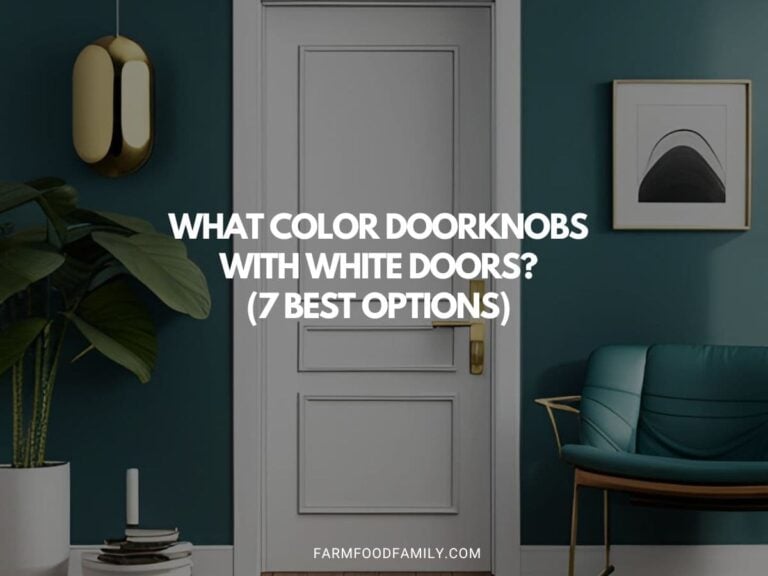 What Color Doorknobs With White Doors? (7 Best Options)