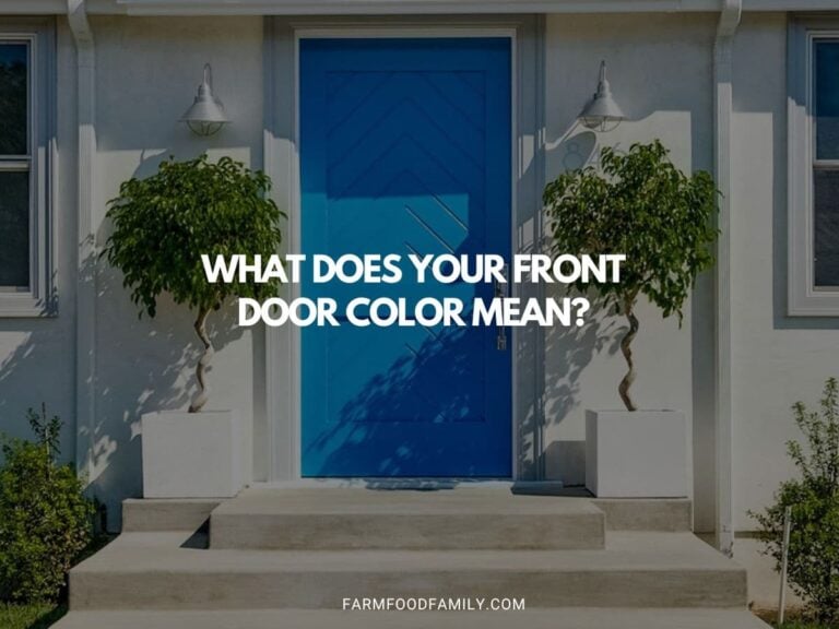 What Does Your Front Door Color Mean? (12 Options)