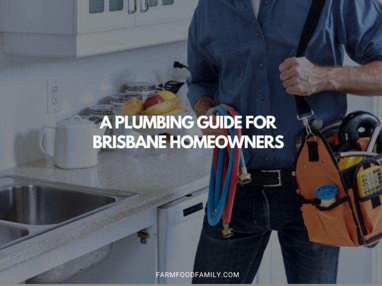 A Plumbing Guide for Brisbane Homeowners