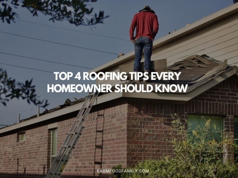 Top 4 Roofing Tips Every Homeowner Should Know