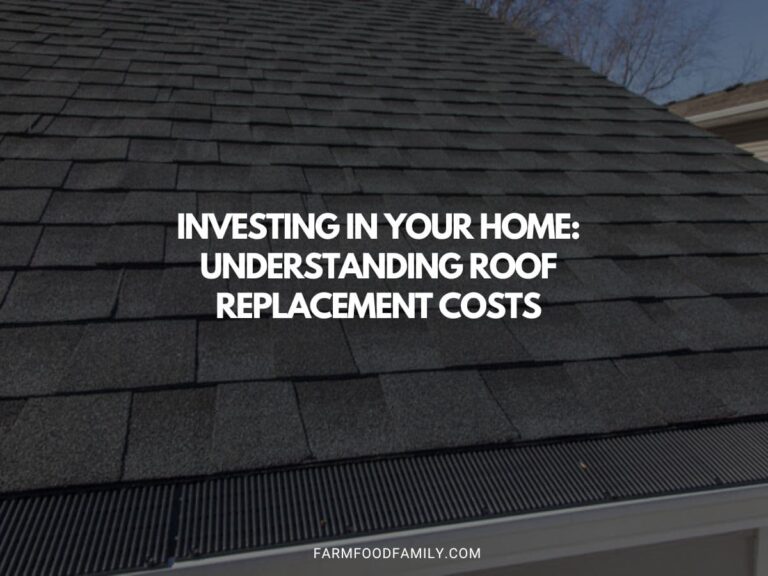 Investing in Your Home: Understanding Roof Replacement Costs