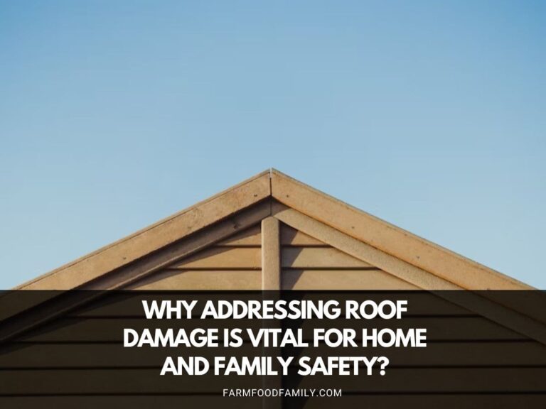 Why Addressing Roof Damage is Vital for Home and Family Safety?